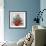 Begonia-Christopher Ryland-Framed Giclee Print displayed on a wall