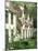 Beguine Houses, Begijnhof (Beguinage), Bruges (Brugge), Belgium, Europe-Ken Gillham-Mounted Photographic Print