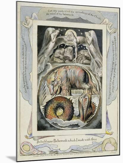 Behemoth and Leviathan from the Book of Job (Pl.15), C.1793 (Hand Tinted Line)-William Blake-Mounted Giclee Print