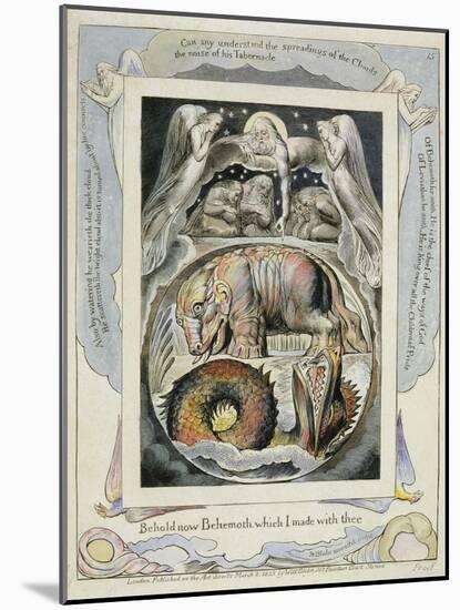 Behemoth and Leviathan from the Book of Job (Pl.15), C.1793 (Hand Tinted Line)-William Blake-Mounted Giclee Print