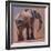 Behind, Loisaba-Mark Adlington-Framed Giclee Print