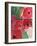 Behind the Meaning of Tulips II-Samuel Dixon-Framed Art Print