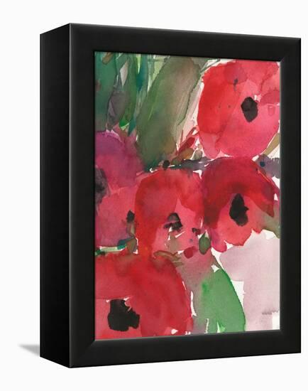 Behind the Meaning of Tulips II-Samuel Dixon-Framed Stretched Canvas