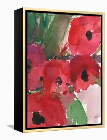 Behind the Meaning of Tulips II-Samuel Dixon-Framed Stretched Canvas