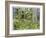 Behind the Squires, Devon-Hilary Jones-Framed Giclee Print