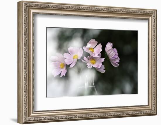 Behind the Window-Heidi Westum-Framed Photographic Print