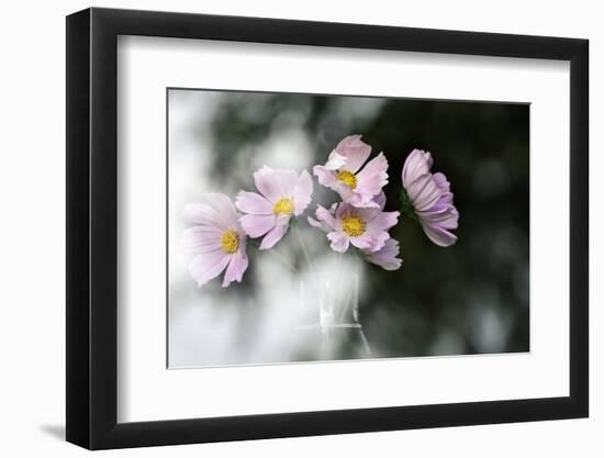 Behind the Window-Heidi Westum-Framed Photographic Print