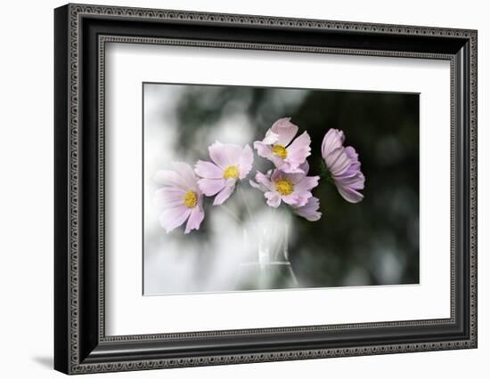 Behind the Window-Heidi Westum-Framed Photographic Print