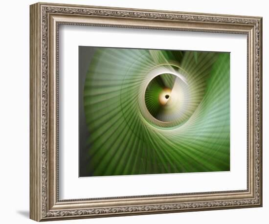 Behind-Heidi Westum-Framed Photographic Print