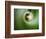 Behind-Heidi Westum-Framed Photographic Print