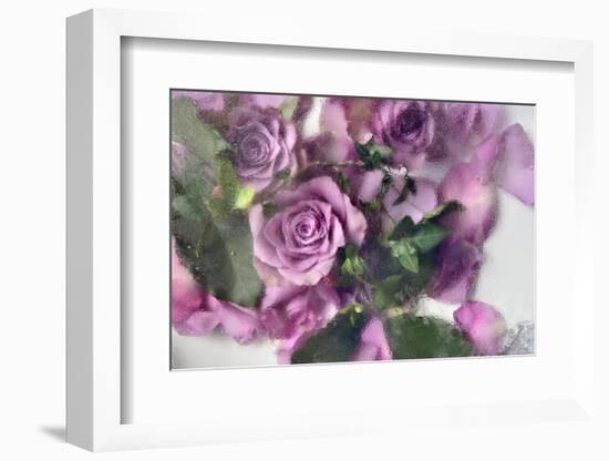 Behind-Heidi Westum-Framed Photographic Print