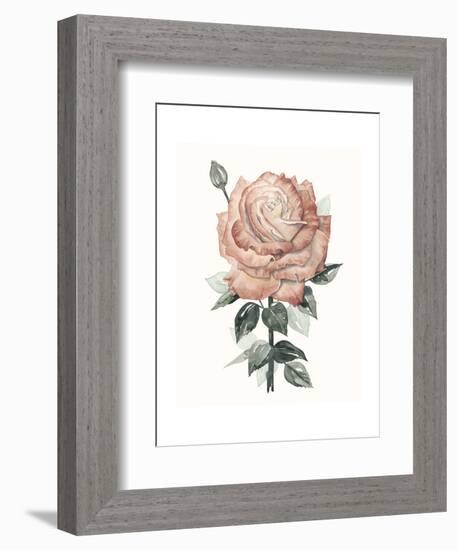 Beholden Rose II-Grace Popp-Framed Art Print