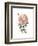 Beholden Rose II-Grace Popp-Framed Art Print