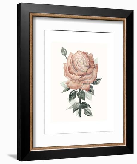 Beholden Rose II-Grace Popp-Framed Art Print