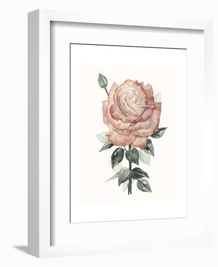 Beholden Rose II-Grace Popp-Framed Art Print