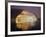 Beijing, the National Grand Theatre Opera House, China-Christian Kober-Framed Photographic Print