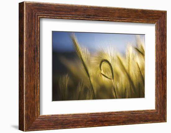 Being Different-Bob Larson-Framed Art Print