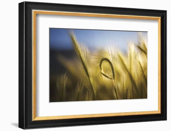 Being Different-Bob Larson-Framed Art Print