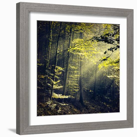 Being There Revisited-Dirk Wüstenhagen-Framed Photographic Print