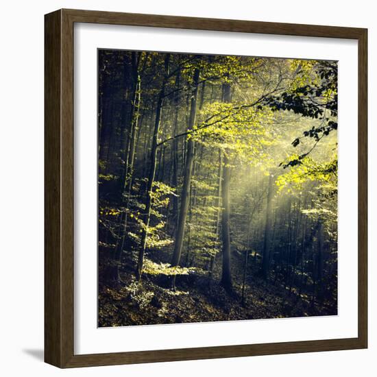 Being There Revisited-Dirk Wüstenhagen-Framed Photographic Print