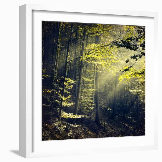 Being There Revisited-Dirk Wüstenhagen-Framed Photographic Print