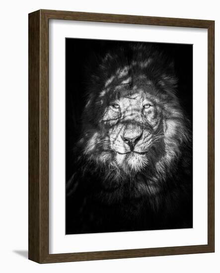 Being Watched-Mike Taylor-Framed Giclee Print