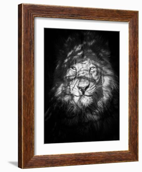 Being Watched-Mike Taylor-Framed Giclee Print