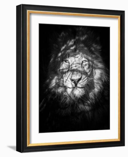 Being Watched-Mike Taylor-Framed Giclee Print