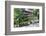 Beitou Wooden Library, Taipei, Taiwan, Asia-Christian Kober-Framed Photographic Print