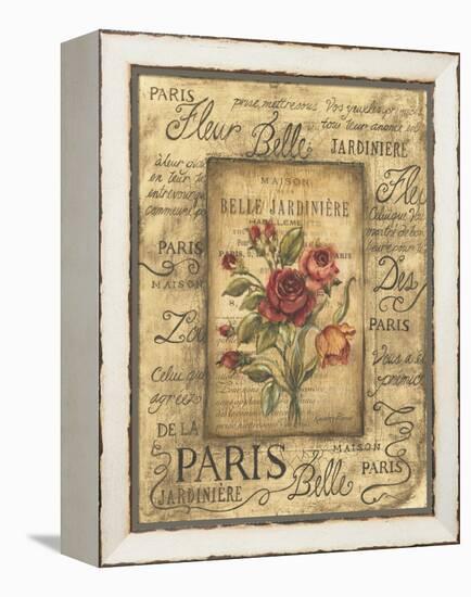 Bel Bouquet I-Kimberly Poloson-Framed Stretched Canvas