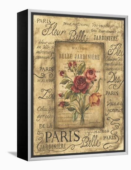 Bel Bouquet I-Kimberly Poloson-Framed Stretched Canvas