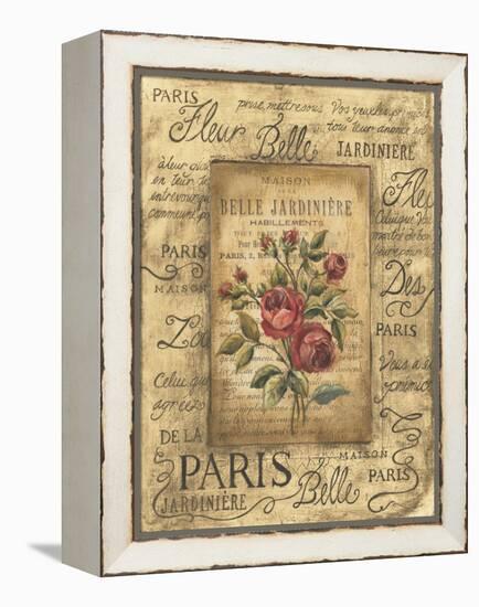 Bel Bouquet II-Kimberly Poloson-Framed Stretched Canvas