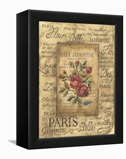 Bel Bouquet II-Kimberly Poloson-Framed Stretched Canvas