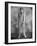 Bela Lugosi-null-Framed Photographic Print