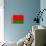 Belarus Flag Design with Wood Patterning - Flags of the World Series-Philippe Hugonnard-Art Print displayed on a wall