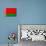 Belarus Flag Design with Wood Patterning - Flags of the World Series-Philippe Hugonnard-Art Print displayed on a wall