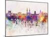 Belfast Skyline in Watercolor Background-paulrommer-Mounted Art Print