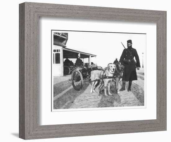 Belgian Machine Guns Pulled by Dogs, 1914-Jacques Moreau-Framed Photographic Print