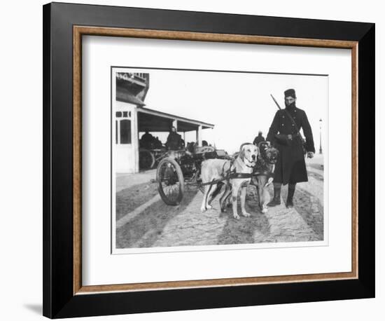 Belgian Machine Guns Pulled by Dogs, 1914-Jacques Moreau-Framed Photographic Print