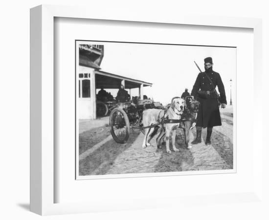 Belgian Machine Guns Pulled by Dogs, 1914-Jacques Moreau-Framed Photographic Print