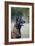 Belgian Malanois Shepherd 12-Bob Langrish-Framed Photographic Print