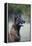 Belgian Malanois Shepherd 12-Bob Langrish-Framed Premier Image Canvas