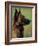 Belgian Malinois / Shepherd Dog Profile Portrait-Adriano Bacchella-Framed Photographic Print