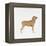 Belgian Mastiff-null-Framed Premier Image Canvas