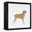 Belgian Mastiff-null-Framed Premier Image Canvas