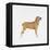 Belgian Mastiff-null-Framed Premier Image Canvas