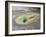 Belgian Pool, in the Norris Geyser Basin area, Yellowstone National Park-Michael Nolan-Framed Photographic Print