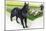 Belgian Sheepdog (Canis Lupus Familiaris) Guarding Flock-null-Mounted Giclee Print