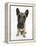 Belgian Shepherd Dog Puppy, Antar, 10 Weeks, Sitting, Looking Up-Mark Taylor-Framed Premier Image Canvas