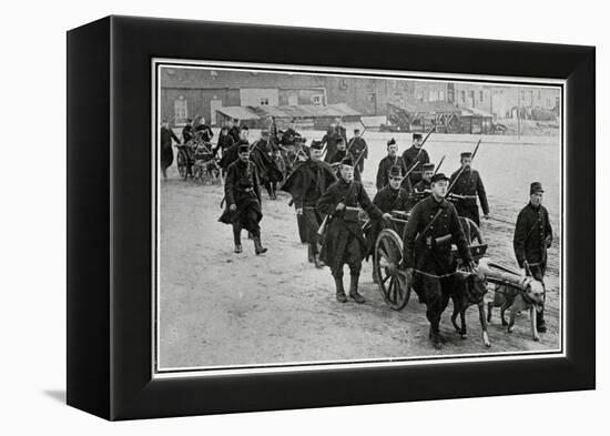 Belgian Troops with Dogs-null-Framed Stretched Canvas